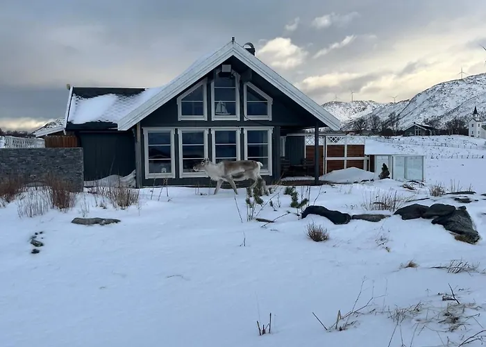 Ved Havet Pa Brensholmen, Naer Sommaroy,